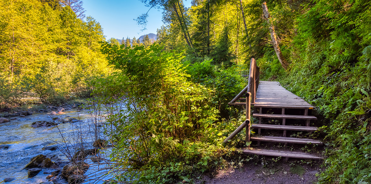 Beautiful Park-like setting in the heart of North Burnaby