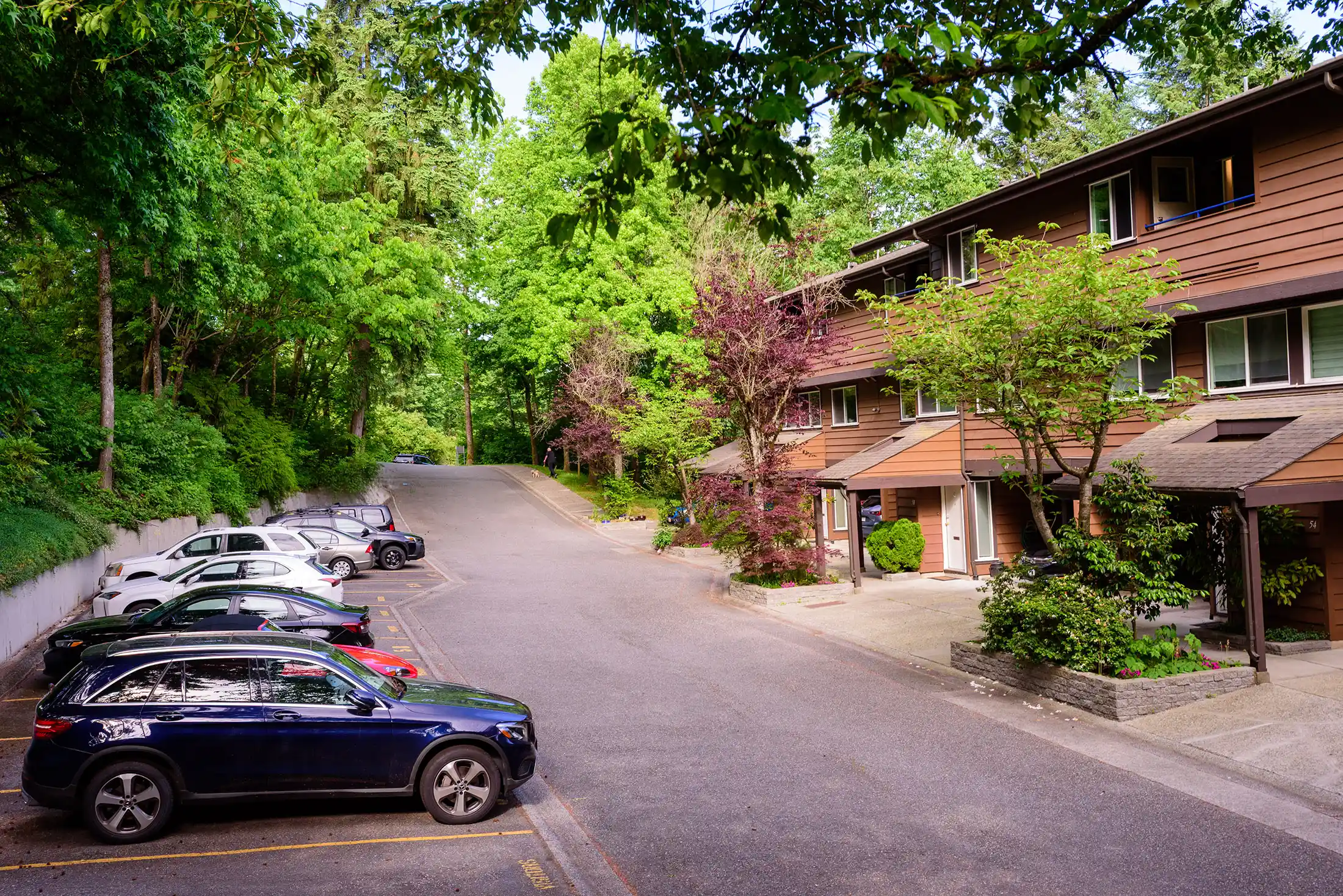 Co-op housing structures nestled in forest