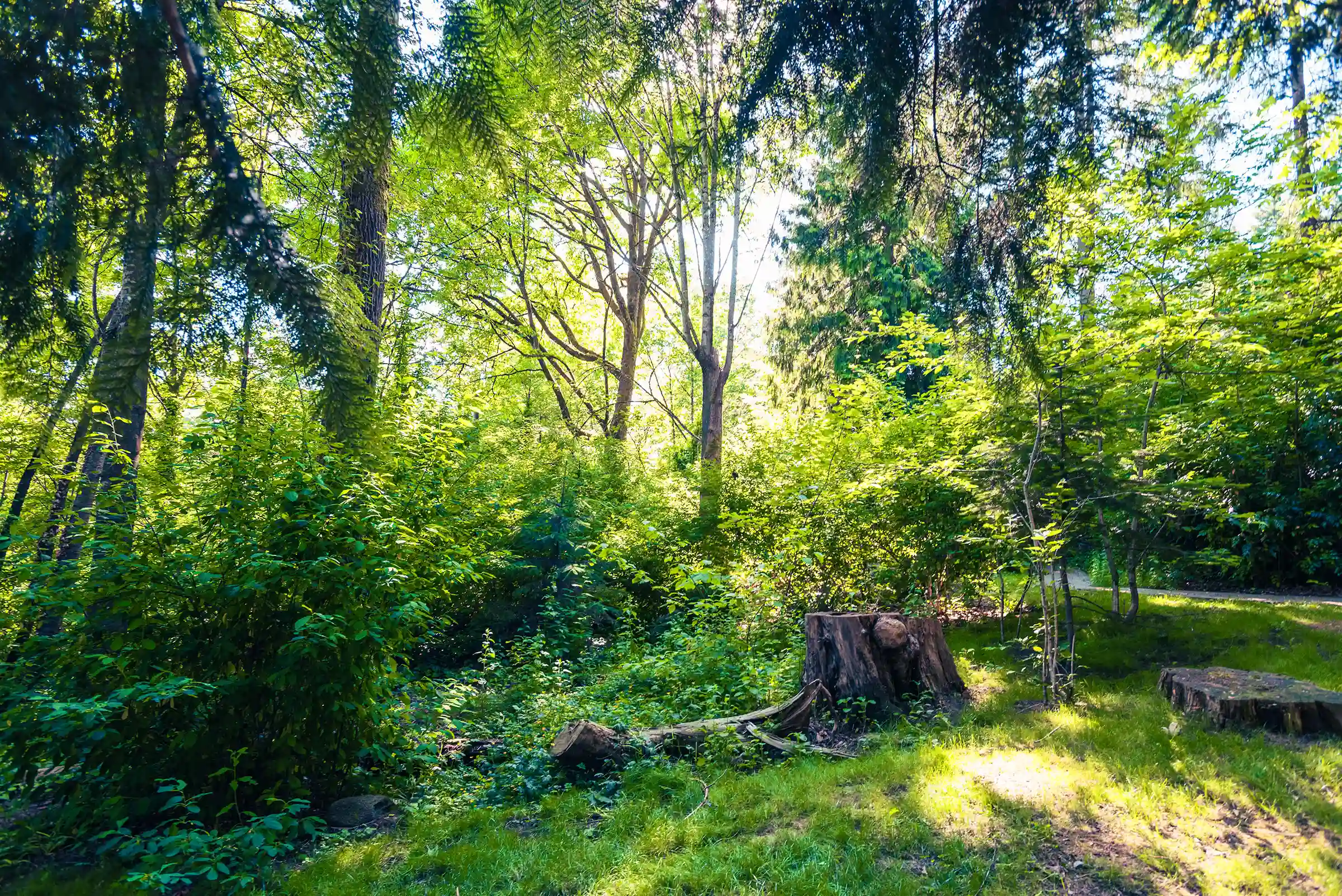 Beautiful Park-like setting in the heart of North Burnaby